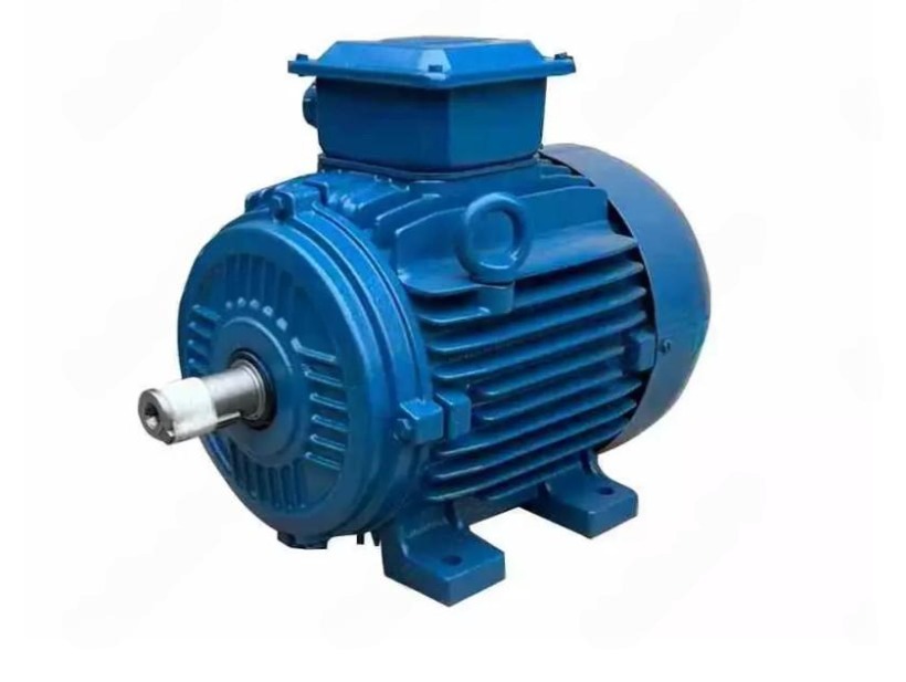 Электродвигатель W22 355M/L 6P 250кВт IE1