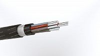 Кабель АКПсВГЭ 10х4