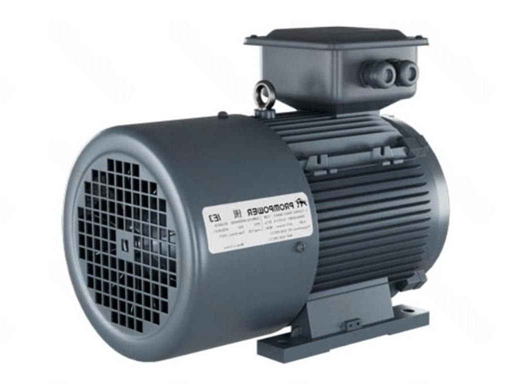 Электродвигатель 1LE9003-1EB43-3AA4 PROMPOWER